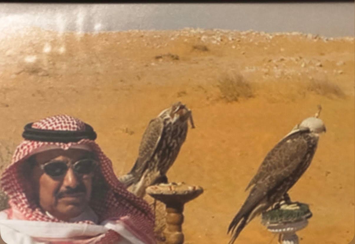 Saudi falconry heritage scene